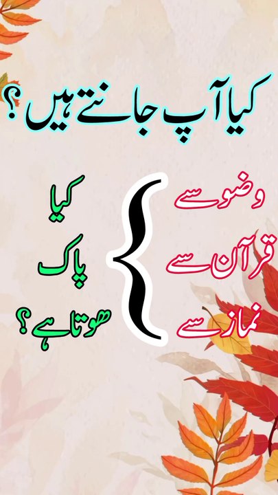 نماز، قرآن اور وضو سے کیا پاک ہوتا ہے؟ حیران کن حقیقت | Islamic Short Video