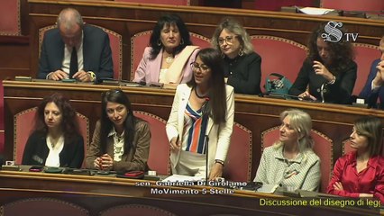 Gabriella Di Girolamo - Intervento aula Senato (23.04.25)