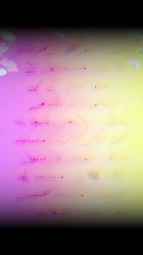 تین مساجد کے علاوہ سفر نہ کیا جائے - صحیح بخاری حدیث 1189