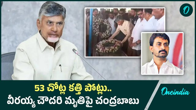 CM Chandrababu: ఎవరినీ వదిలి పెట్టేది లేదు.. సీఎం చంద్రబాబు హెచ్చరిక | Oneindia Telugu