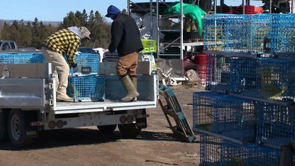 22 AVRIL TOPO FC assurance emploi