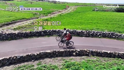 "누가 꽃이게~" 마음이 첫사랑처럼 노랗게 물든, 일우♥선영의 유채꽃밭 데이트