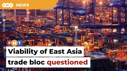 Look before you leap into new trade bloc, economist advises Asean