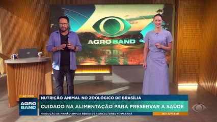 Veja como funciona a alimentação dos animais no zoológico