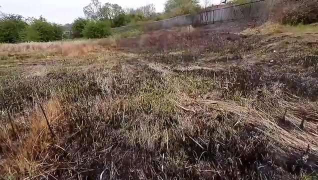 Sunderland residents left angry and fearful after community park set on fire at least 10 times in 4 weeks