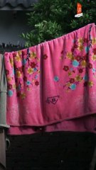 Hoy piden ayuda para conseguir un carrito y vender pollo  para salir adelante con esfuerzo y dignidad.