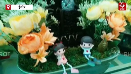 घर में है वास्तु दोष, तो लगा लीजिए पंचधातु वाले खास प्लांट