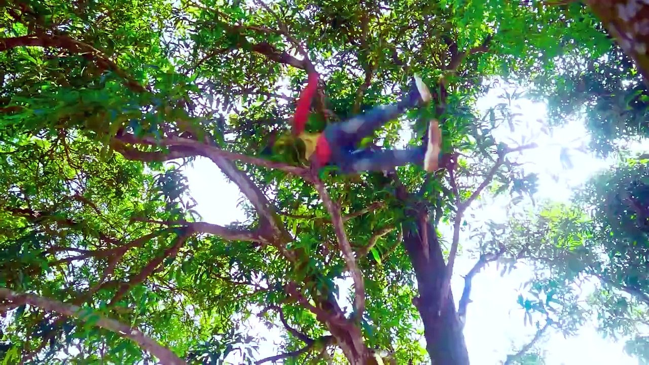 Top New Comedy Vedio Amazing Funny Vedio 2025 😂 Try Not To Laugh 2025 Part | 5