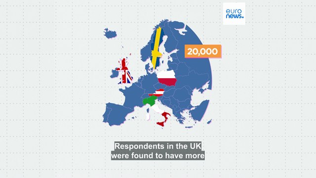 What is the European public's attitude towards irregular migrants' rights?