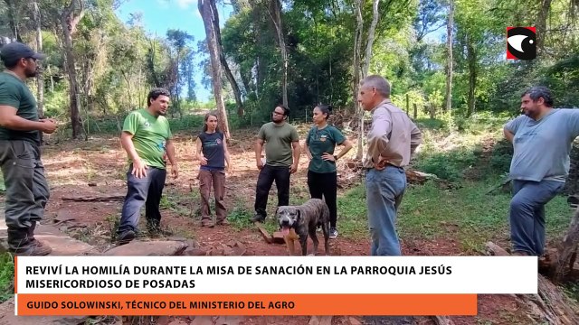 Misiones implementa seguro de depredación de yaguaretés para proteger al ganado de los productores