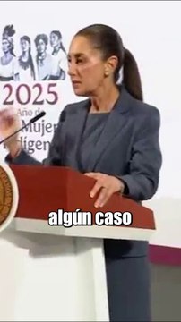 Sheinbaum pide al tribunal invalidar a candidatos judiciales con nexos con el narcotráfico