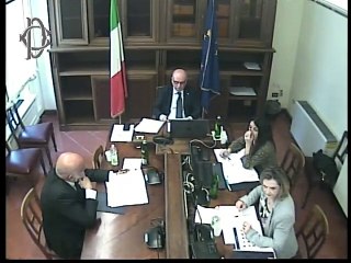 Roma - ​Rischio idrogeologico, audizione Violo, presidente geologi (23.04.25)
