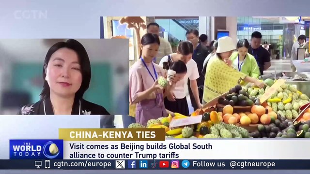 China-Kenya Relations: Assessing Infrastructure Investments and Future Green BRI Initiatives