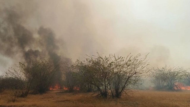 Watch Video: खींवसर के पास चार किलोमीटर में लगी भीषण आग