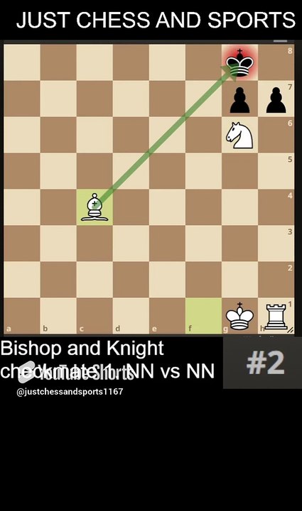 Bishop and Knight checkmate 1. NN vs NN