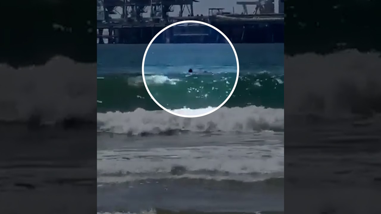 "Il a été victime de frénésie alimentaire" :  un homme tué par un requin sur une plage en Israël