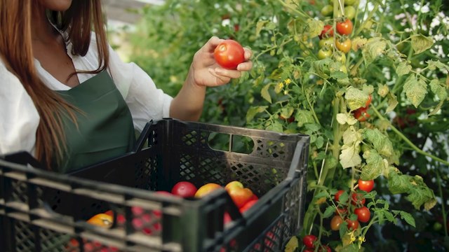 L’agroalimentare traina l’economia italiana