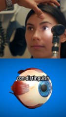 “Amazing Human Eye Facts You Didn’t Know! 👁️