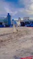 New Horse 🐎 Dance Just Skill Fun Beautiful ❤️