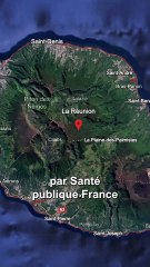 Chikungunya : la maladie compte désormais 9 décès