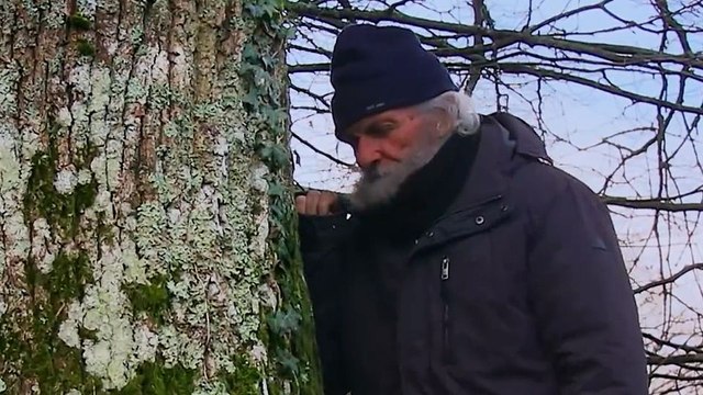 Forêt éternelle Bande-annonce VF STEN