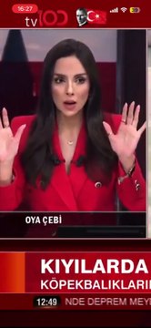 Canlı yayında deprem anı: tv100 spikeri Oya Çebi’nin korkulu anları