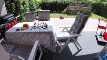 Chess study composed 2011 by Peter Krug