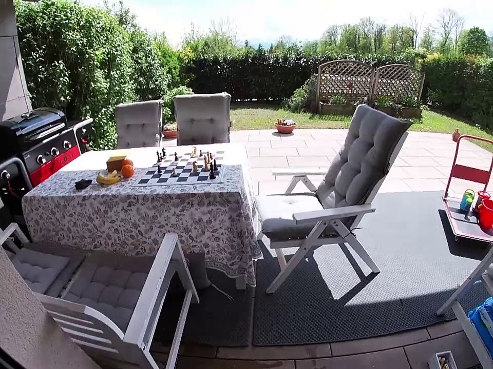 Chess study composed 2011 by Peter Krug