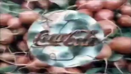 Sempre Coca-Cola 1993 (Sandra de Sá)