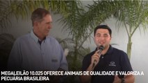 Megaleilão 10.025 oferece animais de qualidade e valoriza a pecuária brasileira