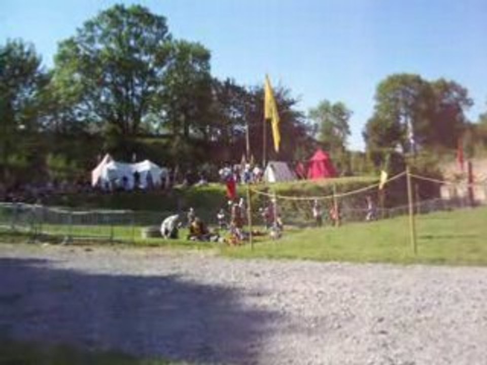 Melee des chevaliers