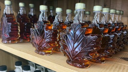 23 avril TOPO AD Saison sucres PA