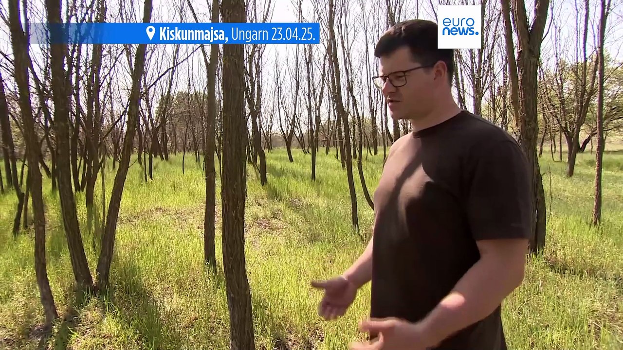 Gegen die Trockenheit: Vom kargen Landstrich zur lebendigen Feuchtwiese