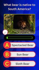 How Much Do You Know About Bears? 🐻 Ultimate Bear Quiz Challenge!