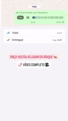 Família de Jorginho faz alerta: 'Onça vai comer mais gente se não der um jeito'