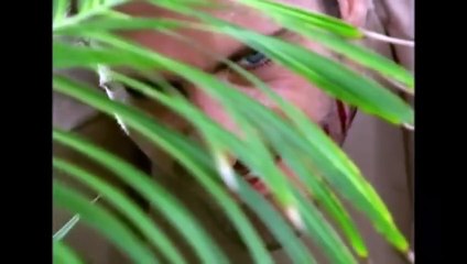 Caminhos do Coração 1ª Temp. Cap. 136