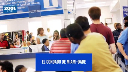 Impondrán sanciones por reventa de citas para la licencia en Florida
