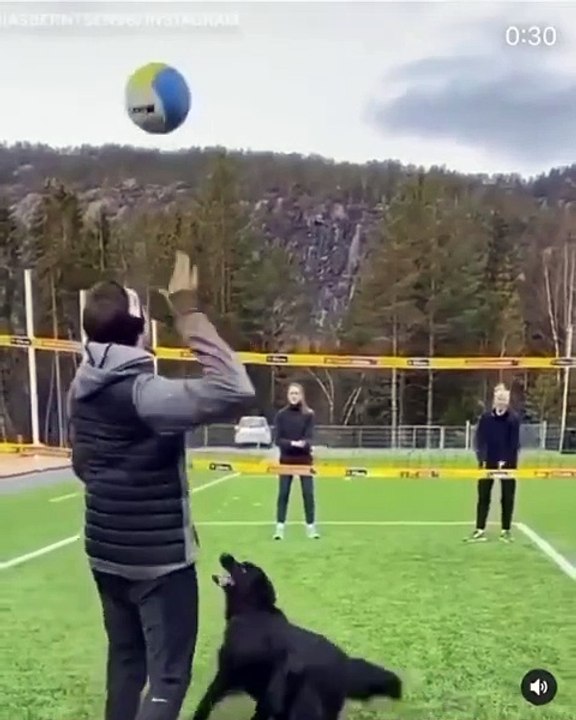 The little guy in the black shirt has a future in volleyball