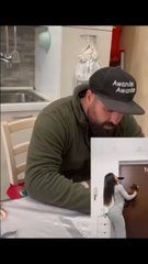 michelemonopoli il mio cane ha subito un trauma