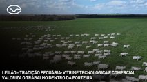 Leilão - tradição pecuária: vitrine tecnológica e comercial valoriza o trabalho dentro da porteira