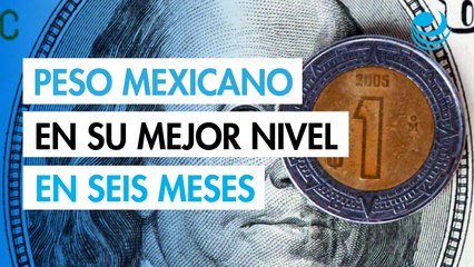 Peso mexicano alcanza su mejor nivel en seis meses, pero termina la sesión sin avances