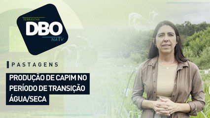 Produção de capim no período de transição água/seca