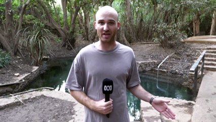 Saltwater crocodile spotted by swimmers at Katherine hot springs