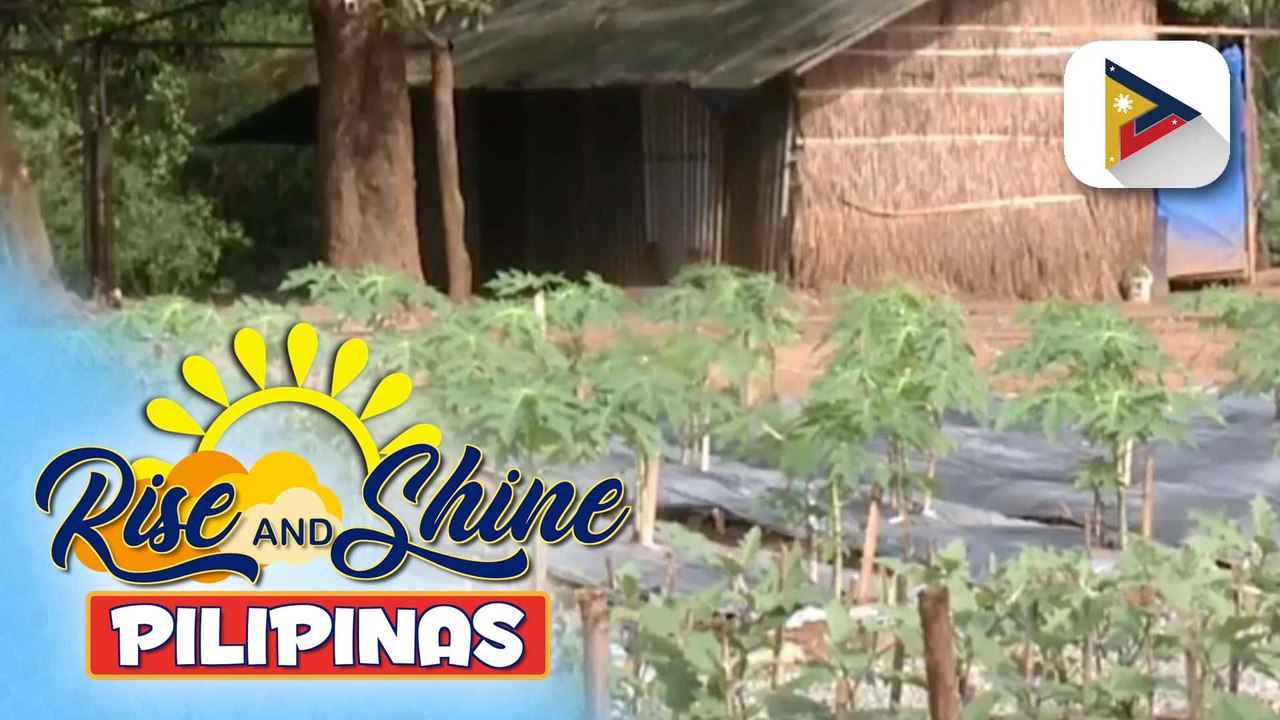 Samot-saring gulay at prutas, tampok sa ilulunsad na "Hardin ng Lunas" Harvest Festival...