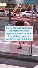 CCTV captures man kicking in Adelaide business door in early morning