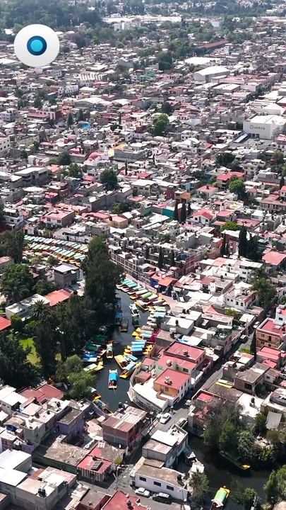 Activan contingencia ambiental en la CDMX I Reporte Indigo