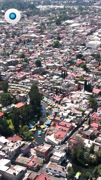 Activan contingencia ambiental en la CDMX I Reporte Indigo