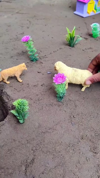 Diy tractor and dumper racing win