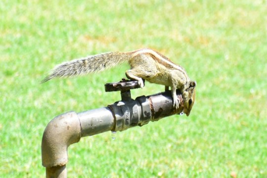 Rajasthan Weather : जयपुर में मौसम का मिजाज गर्म, कल से छूटेंगे लोगों के पसीने