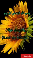 surah An Naziat beautiful video
